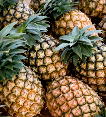Fresh Thai Pineapple – Premium Export Grade