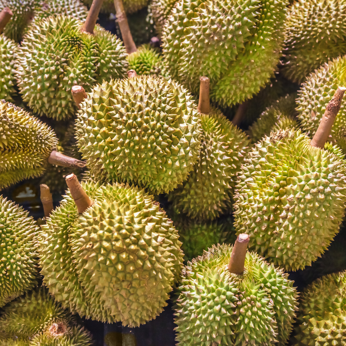 Premium Thai Durian – Export Quality